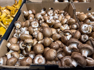 Close up view of whole mushrooms for sale inside a grocery store
