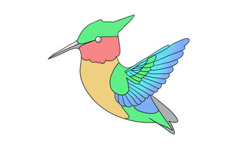 hummingbird in flight