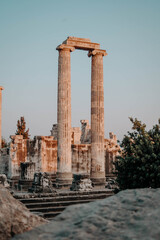 Temple of Apollon Aydın Didim Turkey