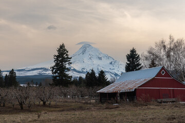 Mt Hood and old red barn, Oregon