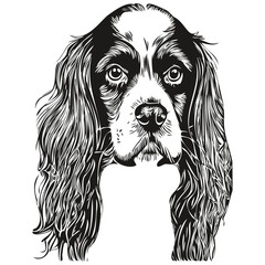 Spaniel English Springer dog line art hand drawing vector logo black and white pets illustration