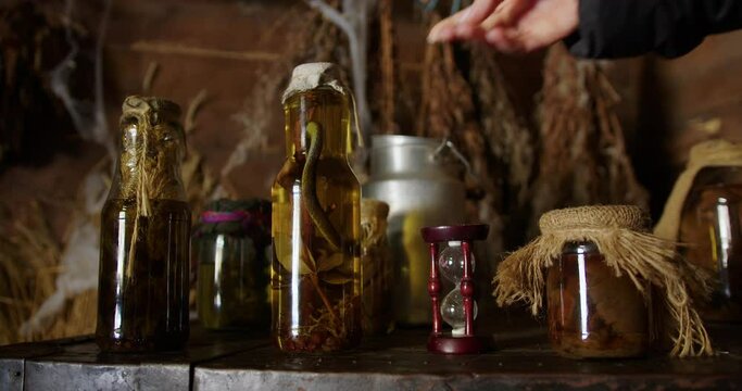 a female hand puts snake tincture in a bottle on the table. the body of a snake in a bottle of alcohol. herbal medicinal tinctures on a table in an old historic house.