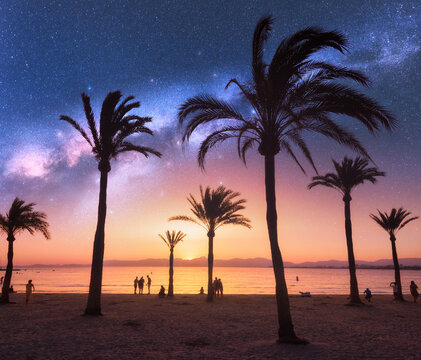 Milky Way over the sandy beach with palms at night in summer