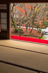 日本　京都府京都市にある圓光寺の瑞雲閣から見える十牛之庭の紅葉