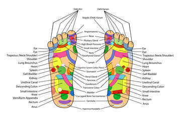simple vector acupuncture, traditional alternative heal, left and right foot and english description