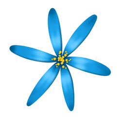 A flower with six blue petals