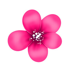 Pink flower with white core