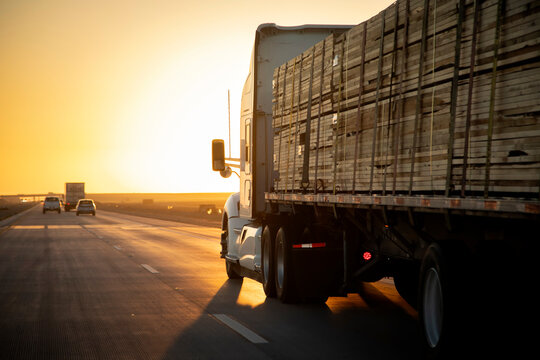 Long Haul 18 Wheel Truck driving on a highway with a load of lumber at sunrise or sunset