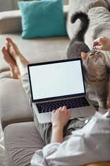 Fototapeta na wymiar Mockup white screen laptop woman using computer and pet cat lying on sofa at home, back view, focus on screen