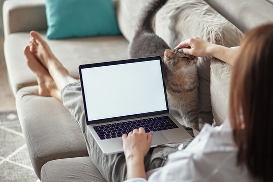 Mockup white screen laptop woman using computer and pet cat lying on sofa at home, back view, focus on screen