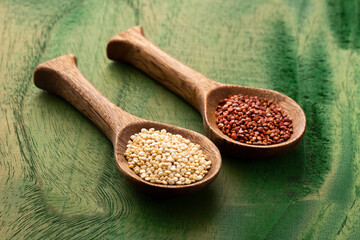 White and red quinoa seeds in spoon - Chenopodium quinoa