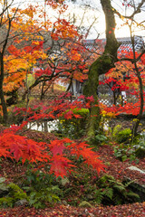 日本　京都府京都市にある永観堂禅林寺の南門と紅葉