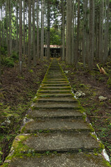 日本　京都府京都市右京区の森の中にある賀茂神社の社殿に続く苔むした石段