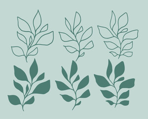 Set of leaves. Hand drawn decorative elements. Organic botanical leaves, plants, floral illustration vectors