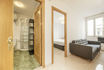 Living room of a house with access to a bathroom and a bedroom and with a gray fabric sofa bed next to a window