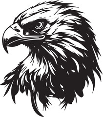 eagle head isolated on white