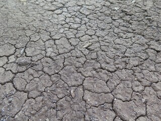 cracked earth in the desert  for decorate background and wallpaper