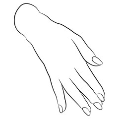 Female hand in elegant gesture.  Black and white linear silhouette.