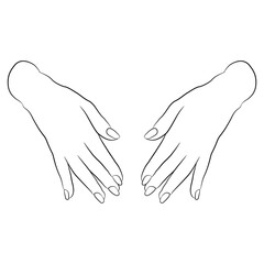 Pair of beautiful female hands in elegant gesture. Cartoon style. Black and white linear silhouette. Isolated vector illustration.	