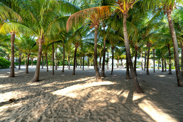 Obraz premium Coconut garden on the beach with blue sea water and white waves. Crystal clear tropical paradise beach without people.