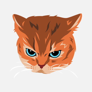 cat portrait with angry expression. cute kitten face. flat vector illustration.