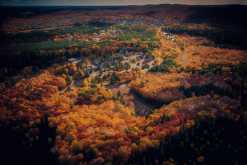 Changing Colors: An aerial illustration of foliage in the fall