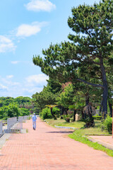 赤穂海浜公園の海沿い