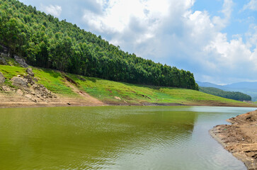 A rivulet on Munnar hills