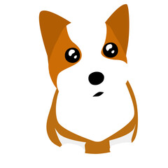 아기 웰시코기 채색