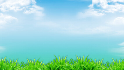 Fototapeta na wymiar green grass against blue sky and clouds with beautiful bokeh, wallpaper for background and design