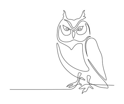 recommend clip art: Continuous one line drawing of owl bird. simple barn owl line art vector illustration.