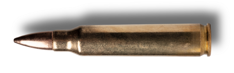 Cartridge that runs in M4s and AR-15s