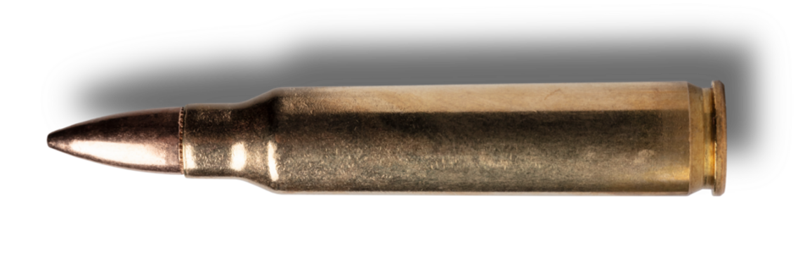 Cartridge that runs in M4s and AR-15s