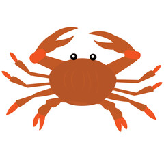 sea orange crab