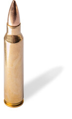 Shadow next to an assault rifle bullet