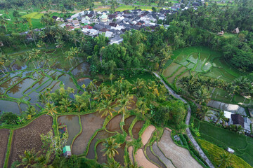 Fototapeta na wymiar rural aerial view in east Lombok