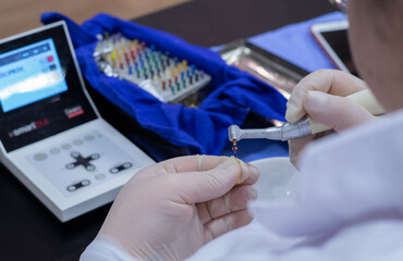 Endodontia