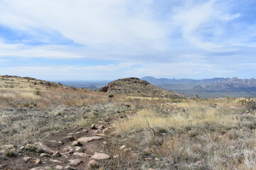 Fototapeta na wymiar Wilderness at Top of Picketpost Mountain in Arizona 