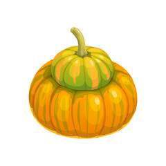 Cartoon raw pumpkin, isolated vector ripe plant. Autumn seasonal squash vegetable harvest, fall crop, natural organic farm product. Pumpkin for Thanksgiving Day or Halloween holidays celebration