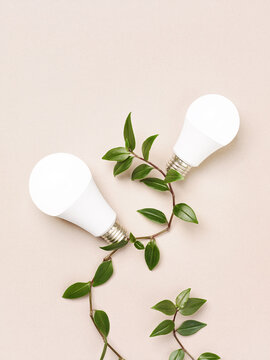 Eco light bulbs on green branch cable. Environmental protection, sustainable resources. Ecology, green energy concept.