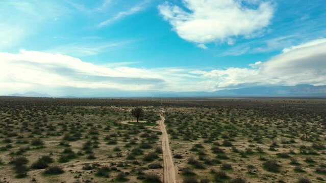 Hyperlapse Sojourn Through Mojave's Verdant Expanse and Sky Symphony