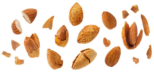 a set of roasted almonds with skin cracked isolated on white background.