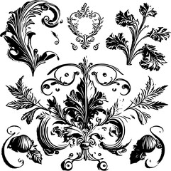 Collection of Vintage drawn leaves Ornaments and decoration