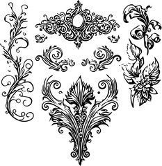 Collection of black and white drawn leaves Ornaments and decoration in vintage style	