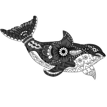 Killer whale zentangle in ethnic pattern style