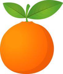 illustration of an orange