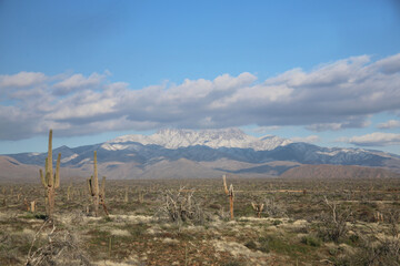 Four Peaks