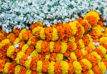 A variety of chrysanthemum flowers are white, yellow and orange bound for religious purposes in...