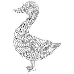 Hand drawn of goose in zentangle style