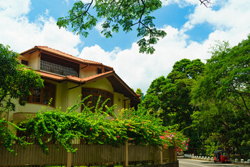 Mansion with a floral fence against the background of trees and the sky